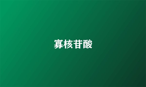 寡核苷酸