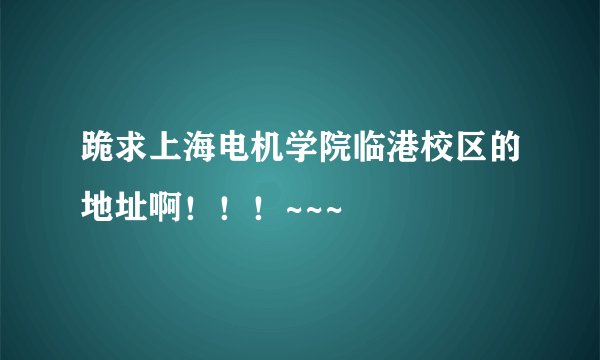 跪求上海电机学院临港校区的地址啊！！！~~~