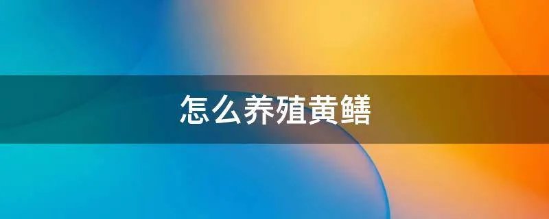 怎么养殖黄鳝
