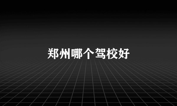郑州哪个驾校好
