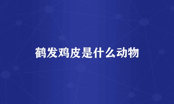 鹤发鸡皮是什么动物