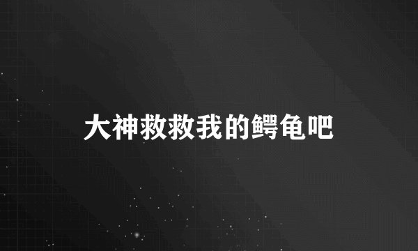 大神救救我的鳄龟吧