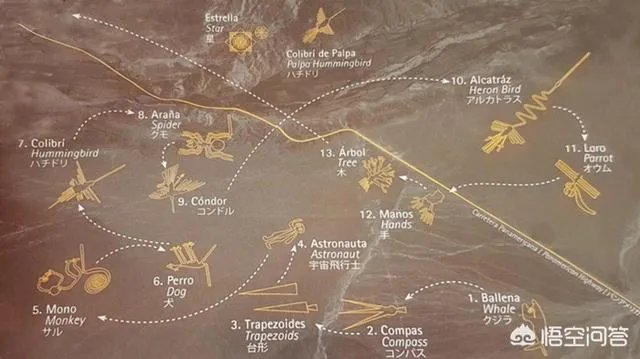 纳斯卡线条有什么神秘之处?