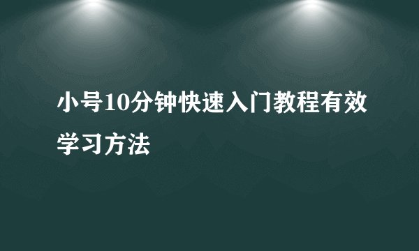 小号10分钟快速入门教程有效学习方法