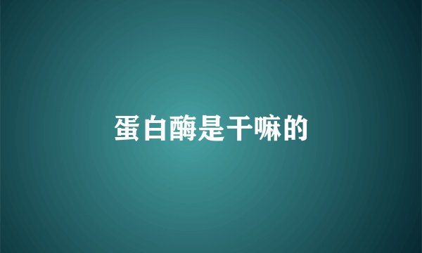 蛋白酶是干嘛的