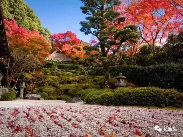 枯山水之置石造景艺术,就是这么有魅力~