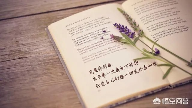 你最喜欢的一本杂志是什么?