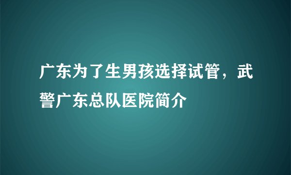 广东为了生男孩选择试管，武警广东总队医院简介