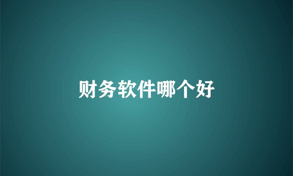 财务软件哪个好