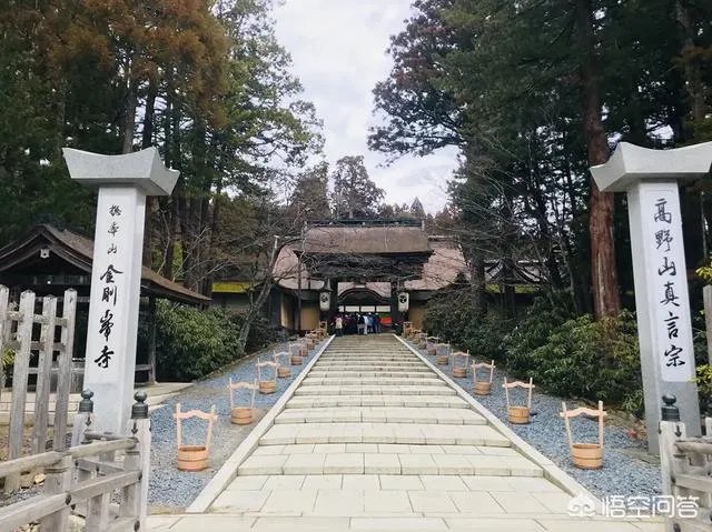 请问最近有没有去过高野山的朋友？