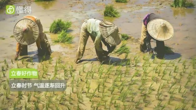 立春是什么意思