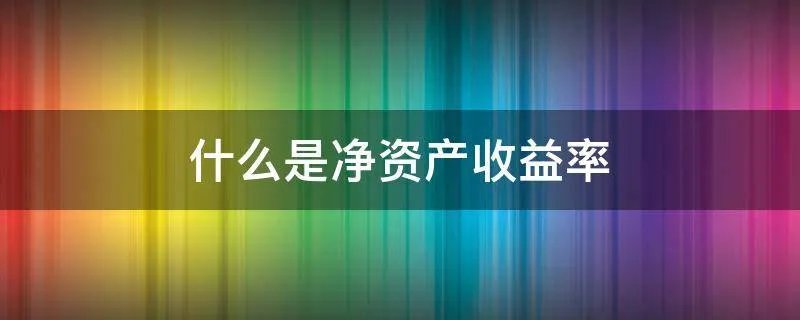 什么是净资产收益率