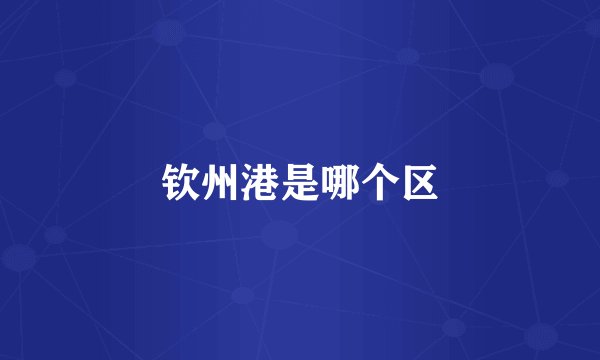 钦州港是哪个区