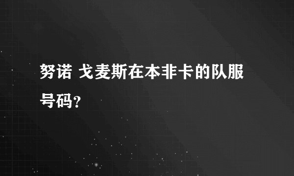 努诺 戈麦斯在本非卡的队服号码？