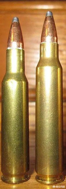M16步枪怎么样?