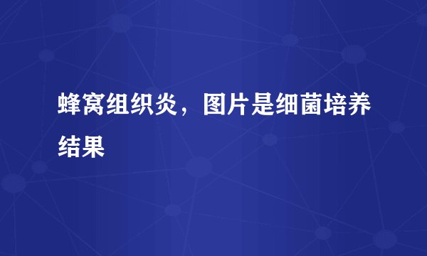 蜂窝组织炎，图片是细菌培养结果