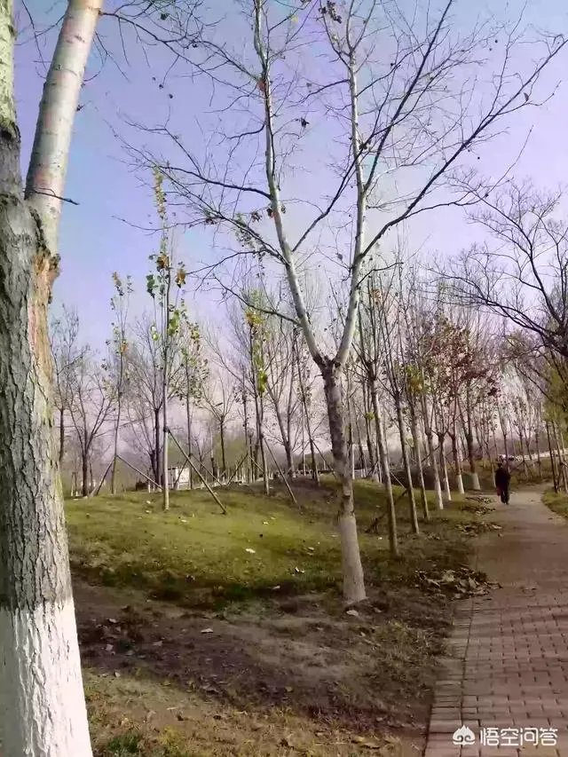 现在的90后是不是真的已经老了?