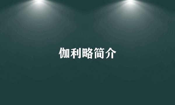 伽利略简介