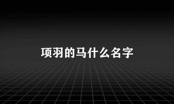 项羽的马什么名字