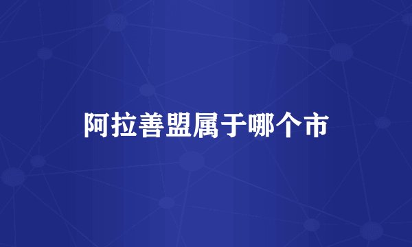 阿拉善盟属于哪个市