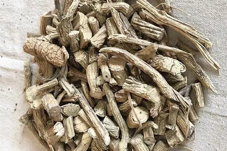 牛白藤图片