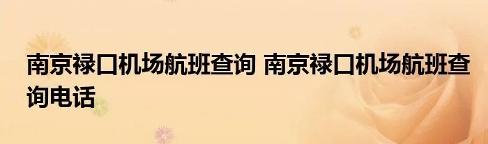 南京禄口机场航班查询 南京禄口机场航班查询电话