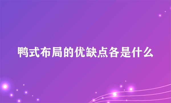 鸭式布局的优缺点各是什么
