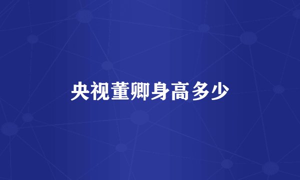 央视董卿身高多少