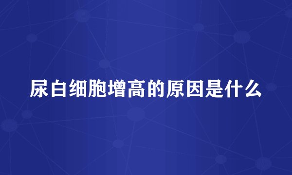 尿白细胞增高的原因是什么
