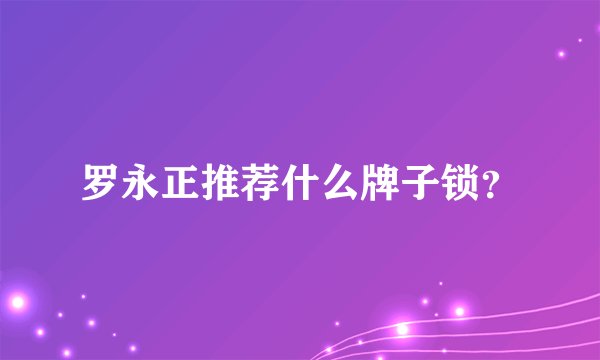 罗永正推荐什么牌子锁？