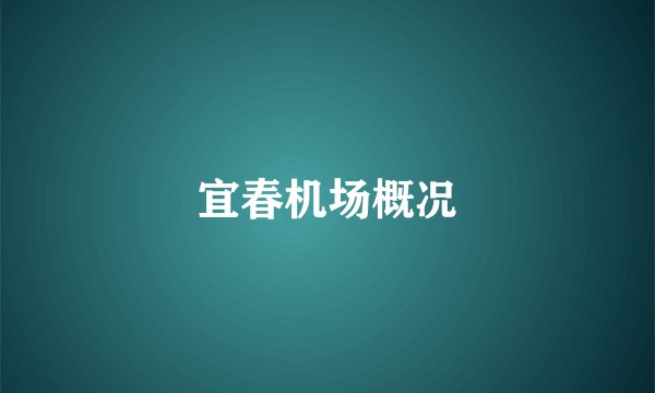 宜春机场概况