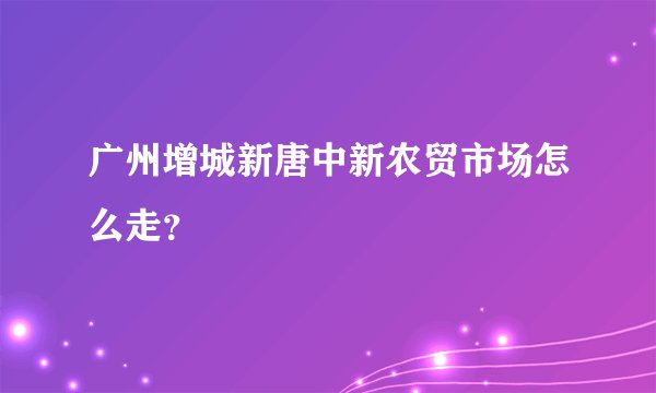 广州增城新唐中新农贸市场怎么走？