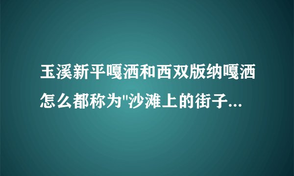 玉溪新平嘎洒和西双版纳嘎洒怎么都称为