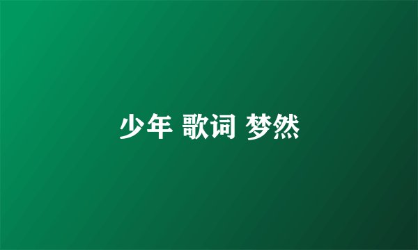 少年 歌词 梦然