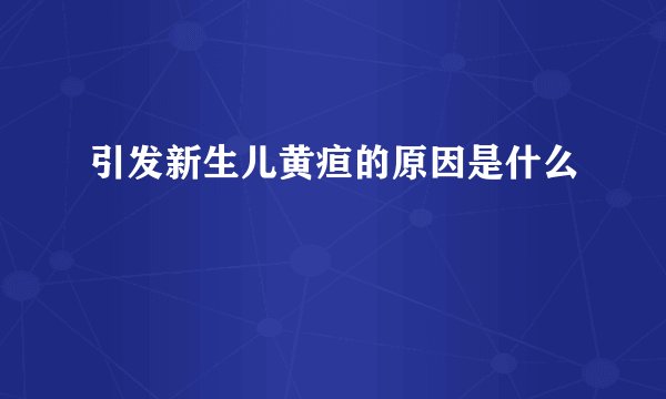 引发新生儿黄疸的原因是什么
