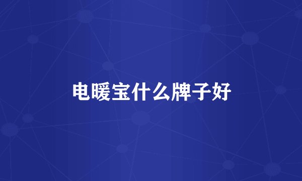 电暖宝什么牌子好