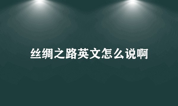 丝绸之路英文怎么说啊