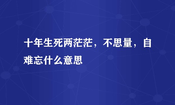 十年生死两茫茫，不思量，自难忘什么意思