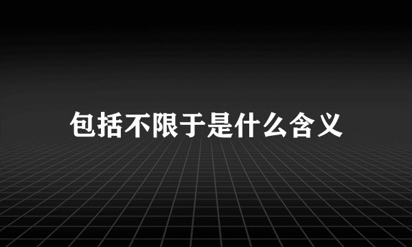 包括不限于是什么含义