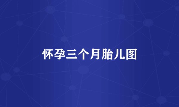 怀孕三个月胎儿图