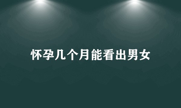 怀孕几个月能看出男女