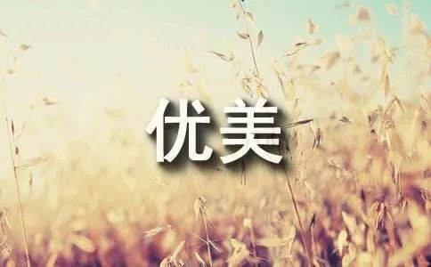 描写油菜花的优美段落