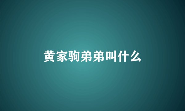 黄家驹弟弟叫什么