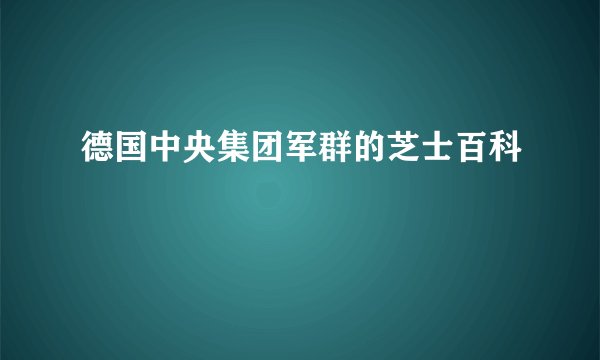 德国中央集团军群的芝士百科