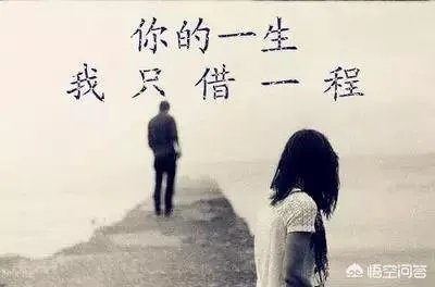 太高太帅