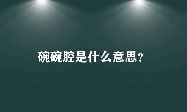 碗碗腔是什么意思?