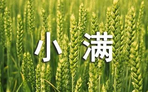 小满的寓意及由来