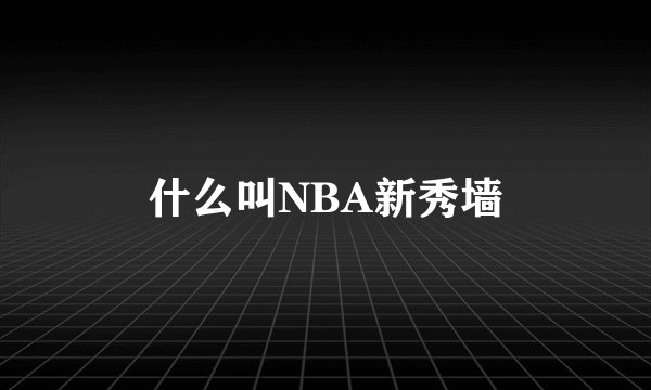 什么叫NBA新秀墙