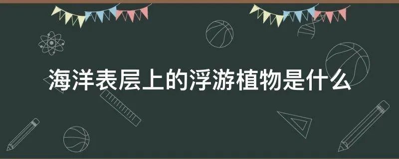 海洋表层上的浮游植物是什么