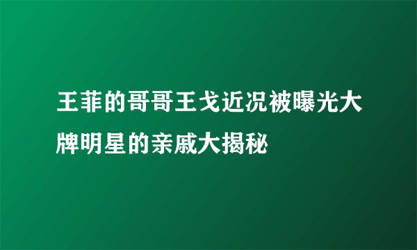 王菲的哥哥王戈近况被曝光大牌明星的亲戚大揭秘